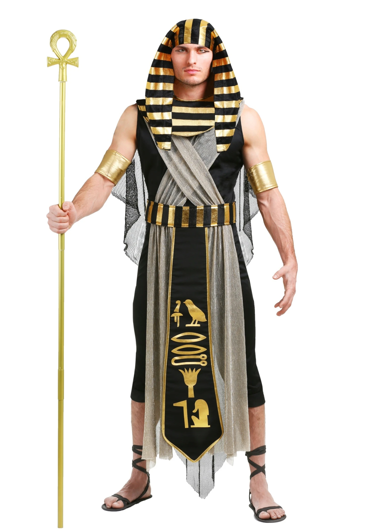 Plus Size All Powerful Pharaoh Men's Costume 3 Plus Size All Powerful Pharaoh Men's Costume