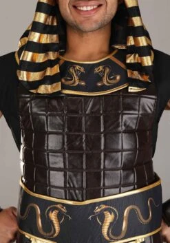 Ancient Pharaoh Adult Costume 12 Ancient Pharaoh Adult Costume -Halloween Costumes ancient pharaoh alt 3 1