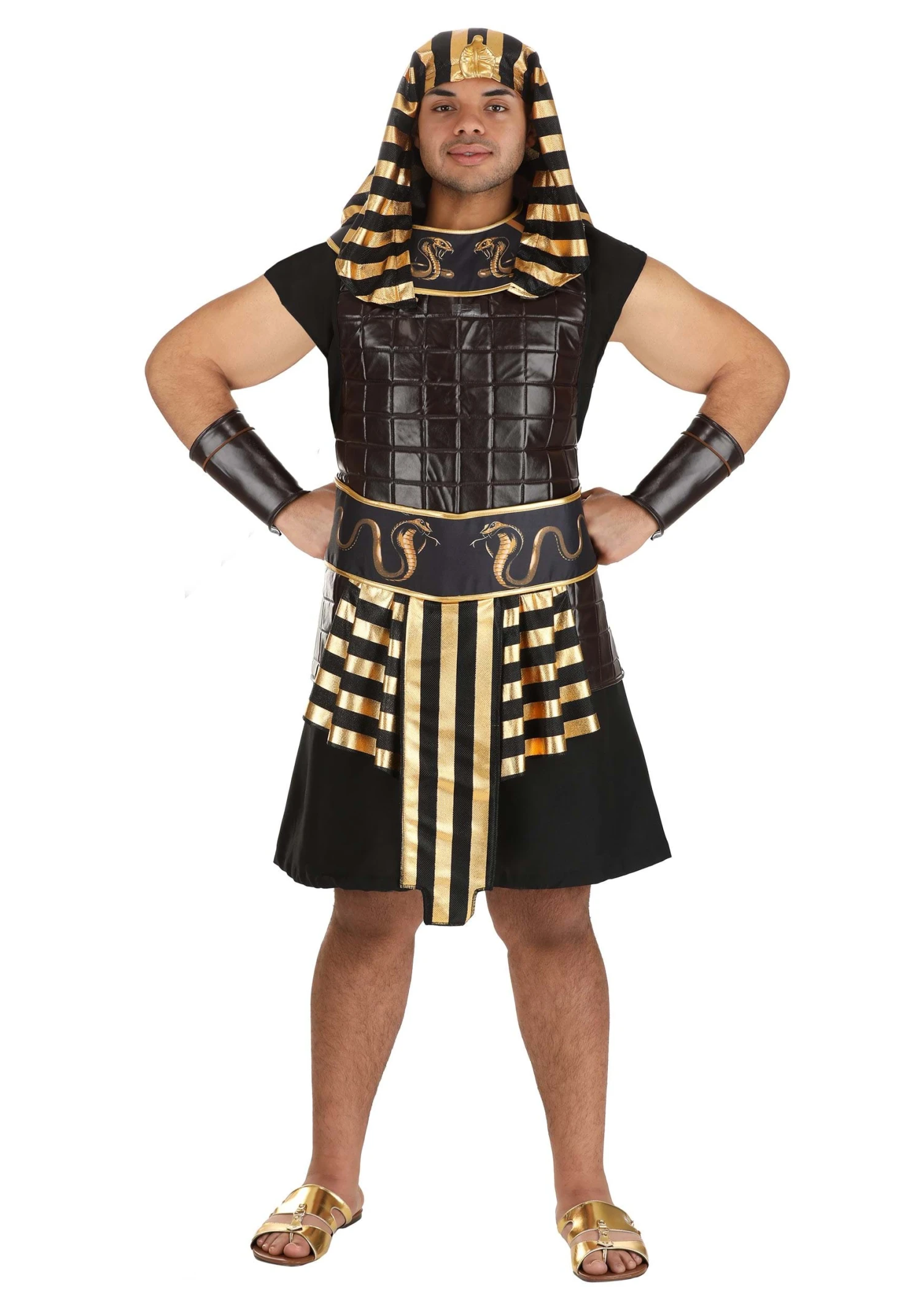 Ancient Pharaoh Adult Costume 9 Ancient Pharaoh Adult Costume - Image 7