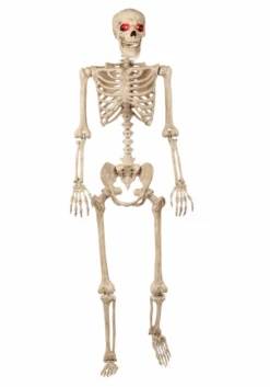 5FT Animated Mr. Crazy Bonez Poseable Human Skeleton Halloween Prop 11 5FT Animated Mr. Crazy Bonez Poseable Human Skeleton Halloween Prop -Halloween Costumes animated skeleton mr crazy bonez