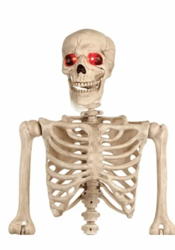 5FT Animated Mr. Crazy Bonez Poseable Human Skeleton Halloween Prop 13 5FT Animated Mr. Crazy Bonez Poseable Human Skeleton Halloween Prop -Halloween Costumes animated skeleton mr crazy bonez 1 2