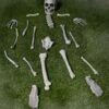 Bag Of Skeleton Bones Halloween Decoration