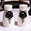 Black Cat Salt And Pepper Shaker Set 2 Black Cat Salt And Pepper Shaker Set -Halloween Costumes black cats salt and pepper shaker set