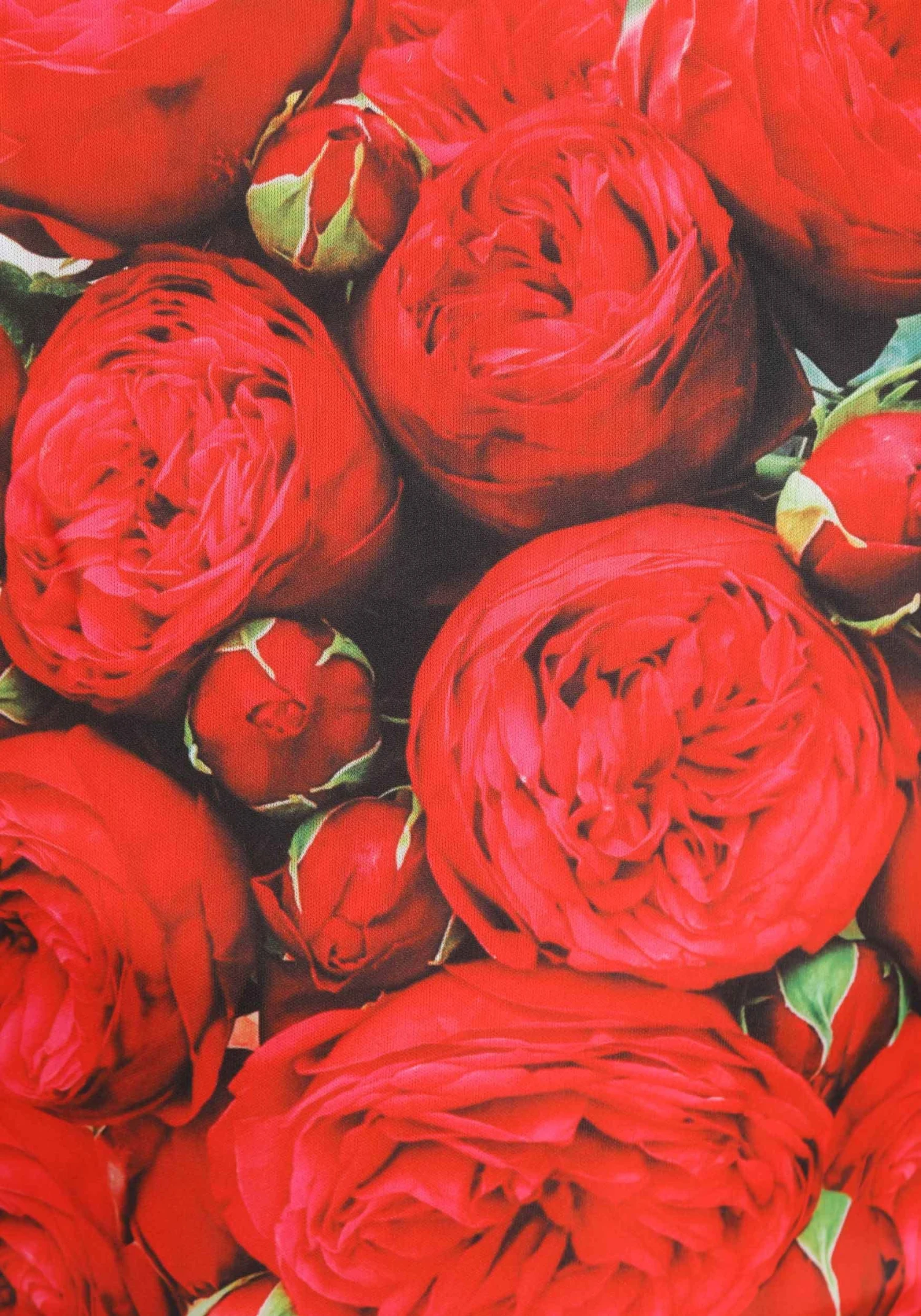 Adult Bouquet Of Roses Sandwich Board Costume 6 Adult Bouquet Of Roses Sandwich Board Costume - Image 4