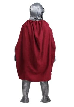 Royal Knight Costume For Boys 5 Royal Knight Costume For Boys -Halloween Costumes boys royal knight costume alt 2