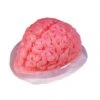 Fun World Brain Gelatin 48. Fl Oz. Mold -Halloween Costumes brain gelatin mold