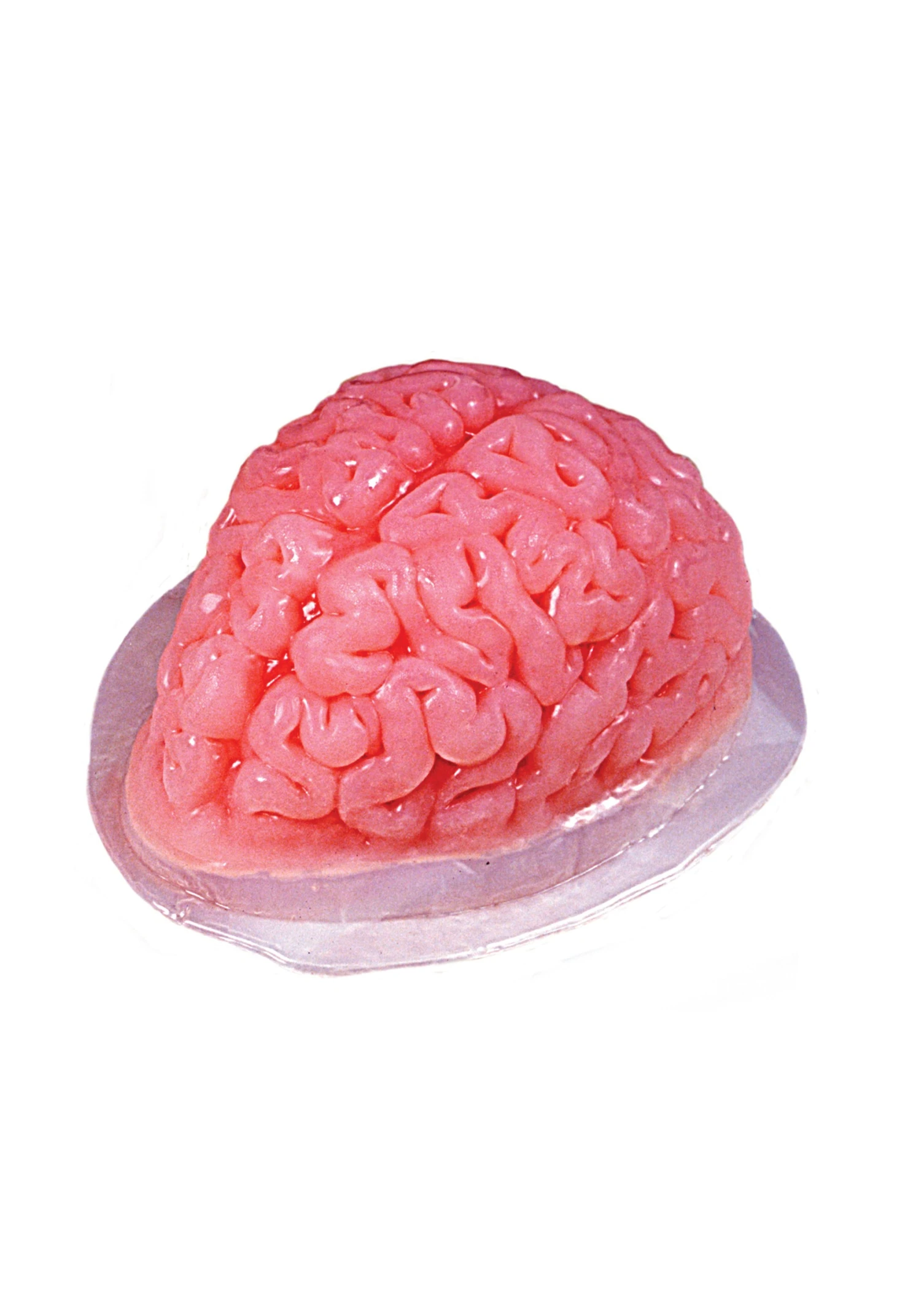 Fun World Brain Gelatin 48. Fl Oz. Mold 3 Fun World Brain Gelatin 48. Fl Oz. Mold