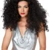 Brunette Disco Diva Women's Wig 1 Brunette Disco Diva Women's Wig -Halloween Costumes brunette disco diva wig