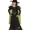 Kids Wicked Witch Of The West Costume 1 Kids Wicked Witch Of The West Costume -Halloween Costumes child wicked witch of the west costume