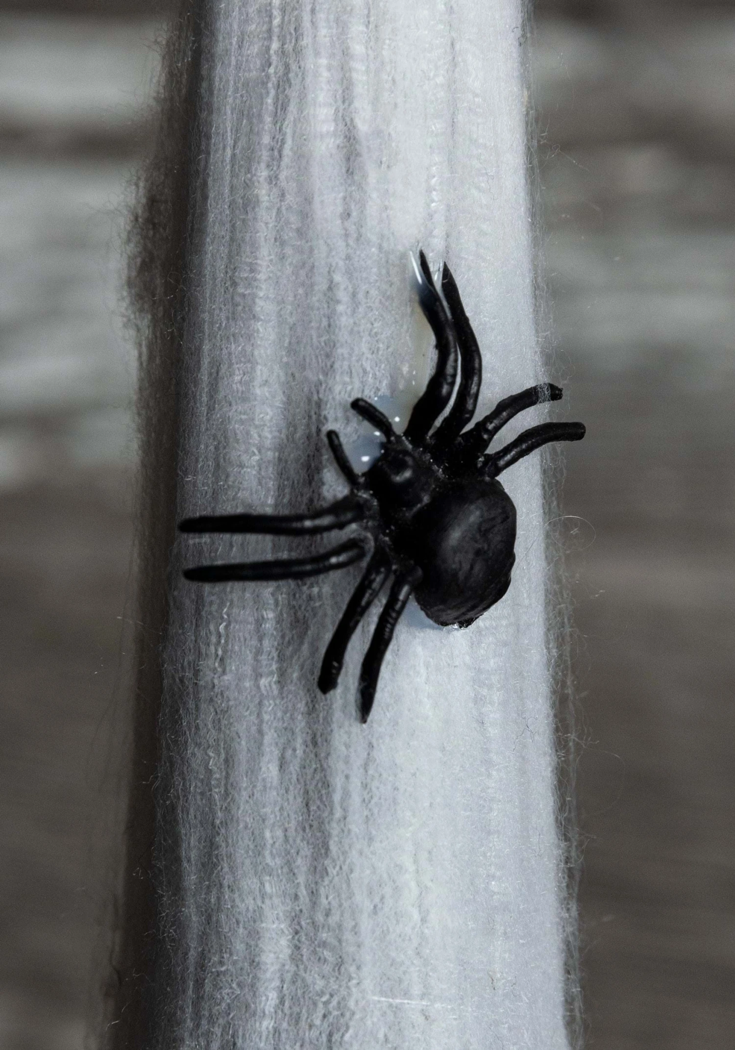 Cocoon Skull W/ Red Light 6 Cocoon Skull W/ Red Light - Image 4