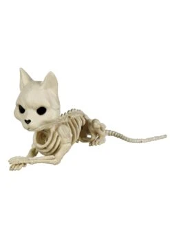 Cute Skeleton Cat Prop Decoration 5 Cute Skeleton Cat Prop Decoration -Halloween Costumes cute skeleton cat alt 1