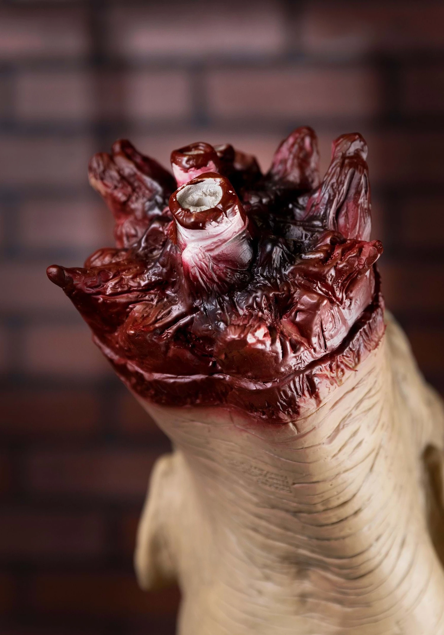 Decapitated Old Man Head Decoration 4 Decapitated Old Man Head Decoration - Image 2