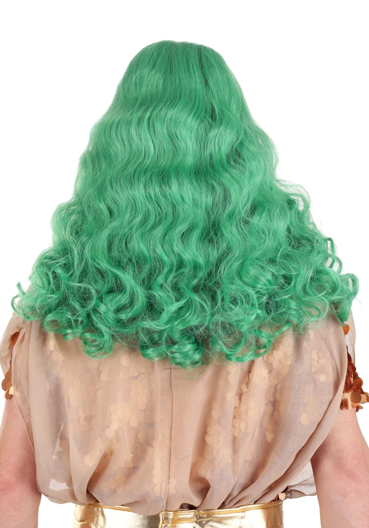 Adult Deluxe King Neptune Wig 4 Adult Deluxe King Neptune Wig - Image 2