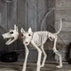 Double Trouble Skeleton Doberman Decoration 2 Double Trouble Skeleton Doberman Decoration -Halloween Costumes double trouble doberman