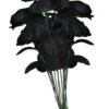 Dozen Black Roses Costume Boquet Prop 1 Dozen Black Roses Costume Boquet Prop -Halloween Costumes dozen black roses bouquet