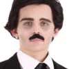 Adult Edgar Allan Poe Wig & Mustache 1 Adult Edgar Allan Poe Wig & Mustache -Halloween Costumes edgar allen poe wig and mustache