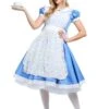 Elite Alice Women's Costume -Halloween Costumes elite alice costume