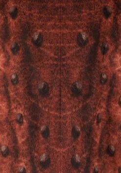 Carnotaurus Dinosaur Costume For Adults 11 Carnotaurus Dinosaur Costume For Adults -Halloween Costumes exclusive adult carnotaurus dinosaur costume alt 3