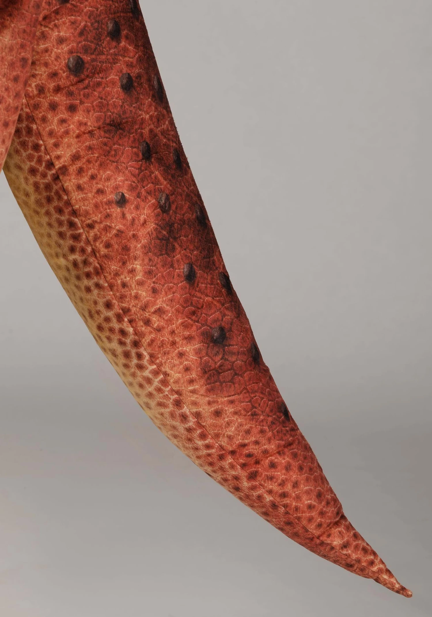 Carnotaurus Dinosaur Costume For Adults 7 Carnotaurus Dinosaur Costume For Adults - Image 5