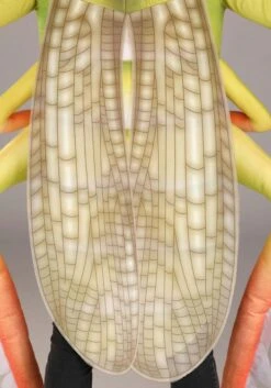 Deluxe Grasshopper Costume For Adults 12 Deluxe Grasshopper Costume For Adults -Halloween Costumes exclusive adult deluxe grasshopper costume alt 2