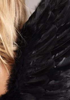Fallen Black Angel Costume Wings -Halloween Costumes fallen black angel wings alt 3