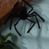 Floating Dropping Black Spider Halloween Decoration 1 Floating Dropping Black Spider Halloween Decoration -Halloween Costumes floating dropping spider
