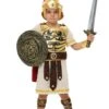 Gladiator Champion Toddler Costume For Boys -Halloween Costumes gladiator champion toddler costume