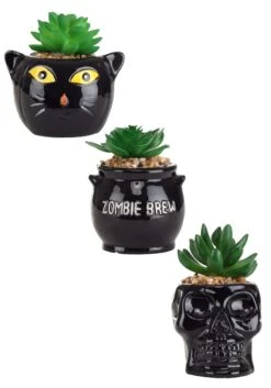 Cauldron, Cat, & Skeleton Halloween Succulent Planter Set -Halloween Costumes halloween succulent planter set cauldron cat sk alt 1