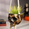 Fun World Hanging Gold Color Skull Planter -Halloween Costumes hanging skull gold color planter