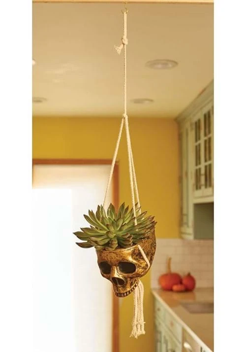 Fun World Hanging Gold Color Skull Planter 4 Fun World Hanging Gold Color Skull Planter - Image 2