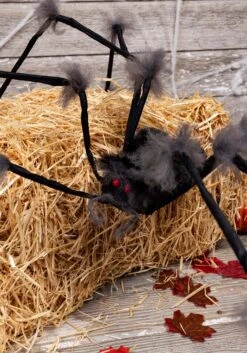 Large Hairy Gray Spider Halloween Decoration -Halloween Costumes large spider hairy grey alt 2