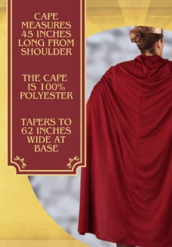 Lionheart Knight Costume For Men 13 Lionheart Knight Costume For Men -Halloween Costumes lionheart knight mens costume 2