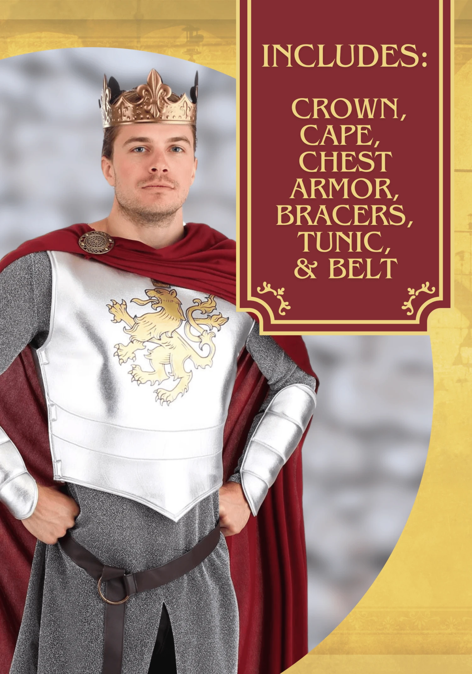 Lionheart Knight Costume For Men 9 Lionheart Knight Costume For Men - Image 7