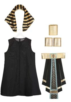 Dark Egyptian Pharaoh Men's Costume -Halloween Costumes mens dark pharaoh alt 8