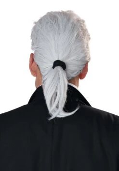 Fashion Legend Wig For Men 9 Fashion Legend Wig For Men -Halloween Costumes mens fashion legend wig alt 3