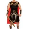 Dreamgirl Men's Julius Caesar Costume