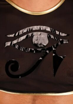 Sexy Pharaoh Costume For Men 11 Sexy Pharaoh Costume For Men -Halloween Costumes mens sexy pharaoh costume alt 3