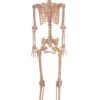 3.5FT Metal Stand For Life Size Human Skeleton Halloween Prop