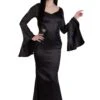 Plus Size The Addams Family Morticia Costume Dress For Women -Halloween Costumes morticia plus size costume