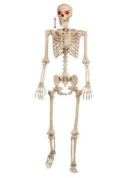 5FT Animated Mr. Crazy Bonez Poseable Human Skeleton Halloween Prop 10 5FT Animated Mr. Crazy Bonez Poseable Human Skeleton Halloween Prop -Halloween Costumes mr crazy bonez animated skeleton alt 2