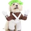 Oompa Loompa Costume Dogs
