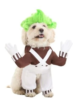 Oompa Loompa Costume Dogs