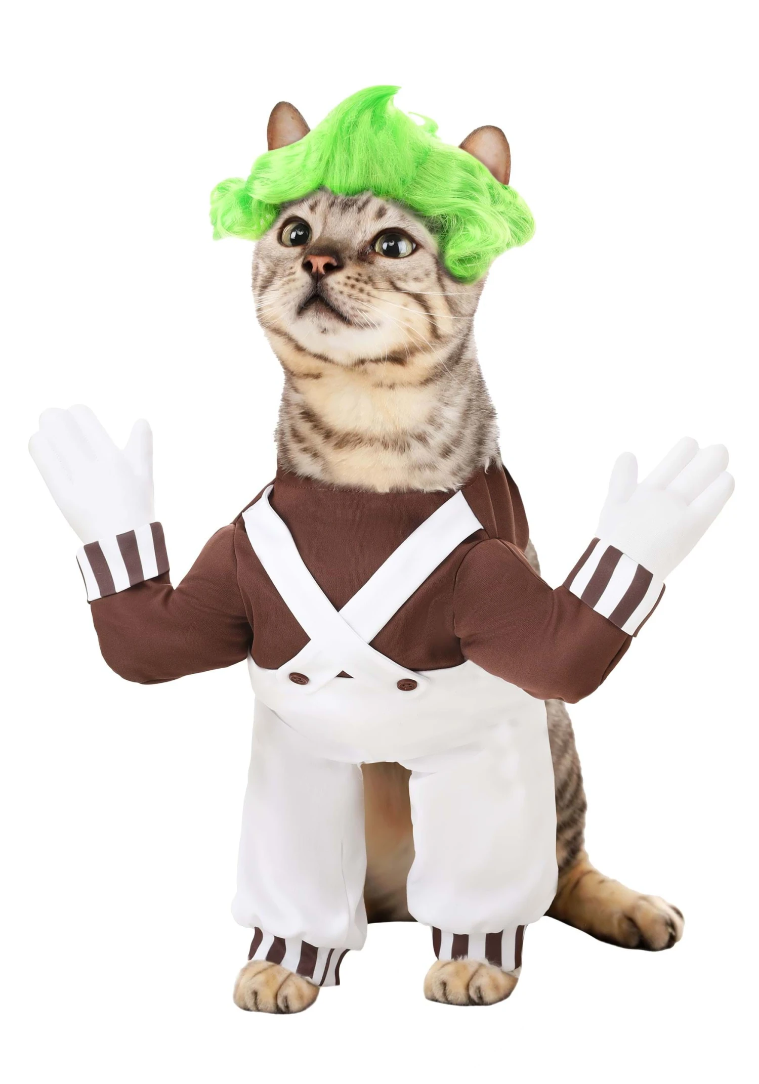 Oompa Loompa Costume Dogs 4 Oompa Loompa Costume Dogs - Image 2