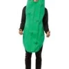 Pickle Adult Costume 2 Pickle Adult Costume -Halloween Costumes pickle adult costume
