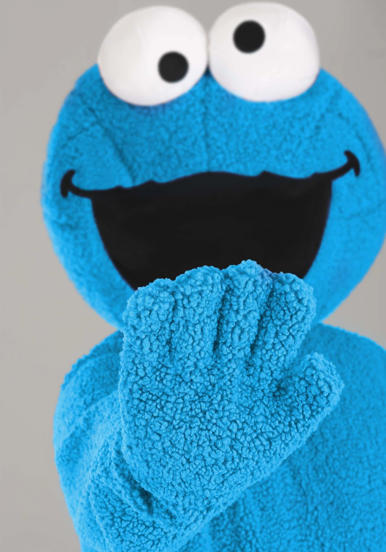 Adult Plus Size Sesame Street Cookie Monster Mascot Costume 6 Adult Plus Size Sesame Street Cookie Monster Mascot Costume - Image 4