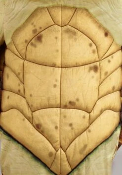 Men's Plus Size Disney And Pixar Finding Nemo Crush Costume 19 Men's Plus Size Disney And Pixar Finding Nemo Crush Costume -Halloween Costumes plus size disney and pixar crush finding nemo cost alt 4