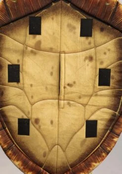 Men's Plus Size Disney And Pixar Finding Nemo Crush Costume 23 Men's Plus Size Disney And Pixar Finding Nemo Crush Costume -Halloween Costumes plus size disney and pixar crush finding nemo cost alt 8