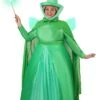 Plus Size Disney Sleeping Beauty Fauna Costume For Women 1 Plus Size Disney Sleeping Beauty Fauna Costume For Women -Halloween Costumes plus size disney fauna sleeping beauty costume