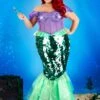 Women's Plus Size Disney The Little Mermaid Premium Ariel Mermaid Costume Dress 2 Women's Plus Size Disney The Little Mermaid Premium Ariel Mermaid Costume Dress -Halloween Costumes plus size disney mermaid ariel costume