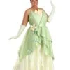 Women's Plus Size Disney Princess And The Frog Tiana Costume